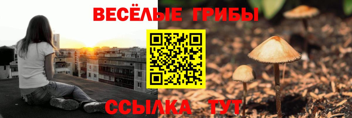 Галлюциногенные грибы мухоморы  Галлюциногенные грибы Psilocybe  Вход с VPN  Новодвинск 
